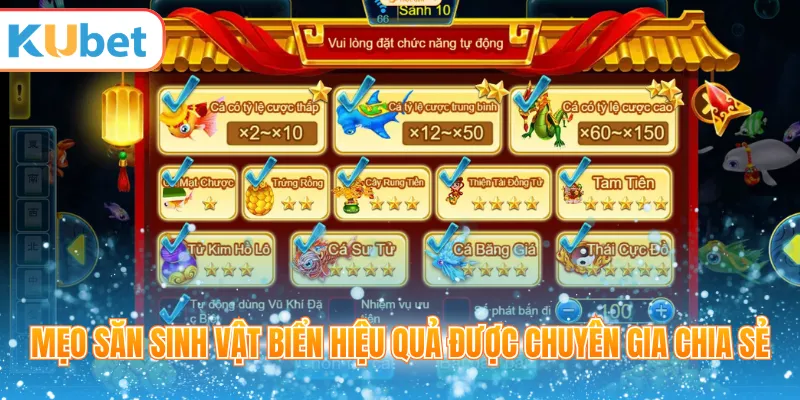 Mẹo săn sinh vật biển hiệu quả được chuyên gia chia sẻ